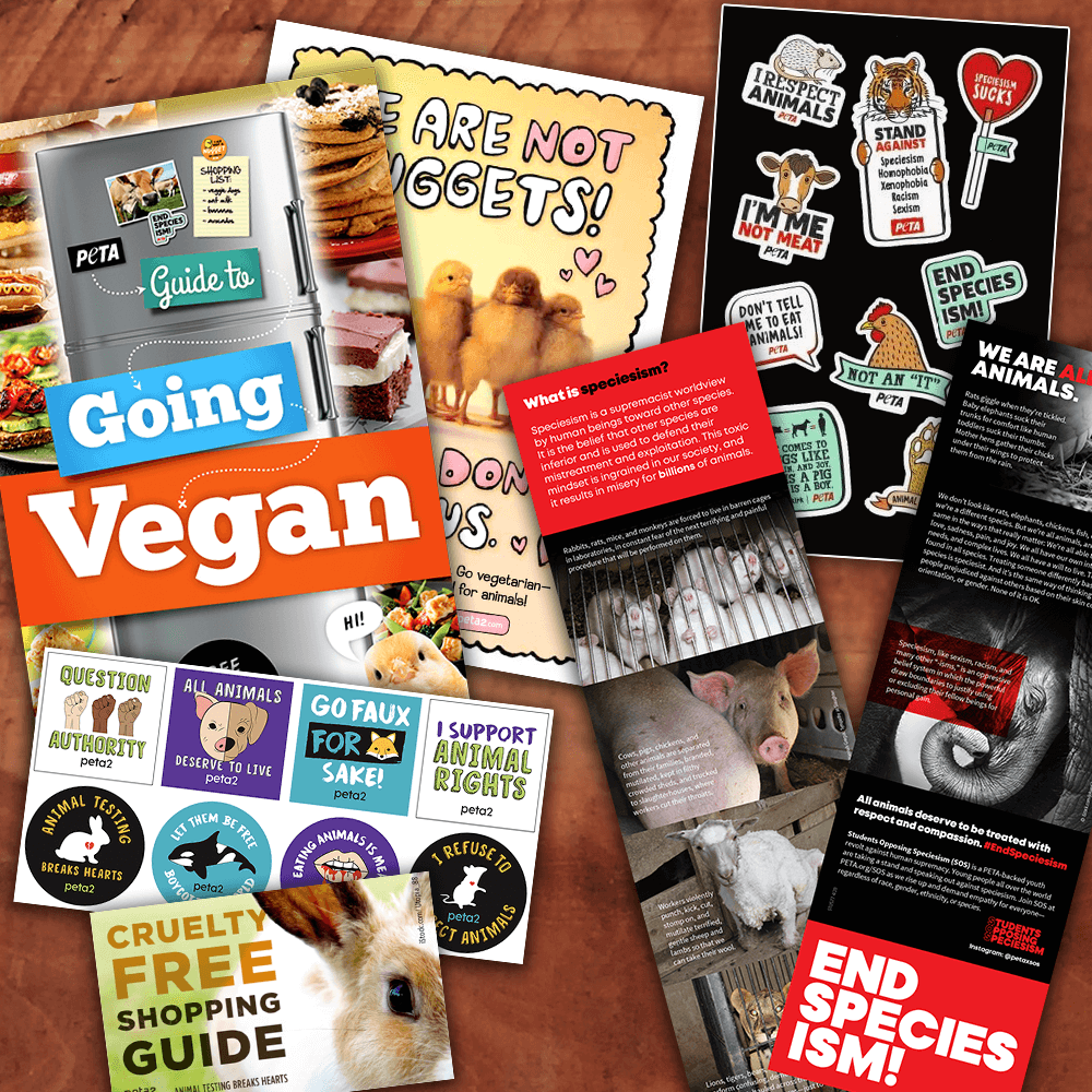 Free stickers and guides to going vegan