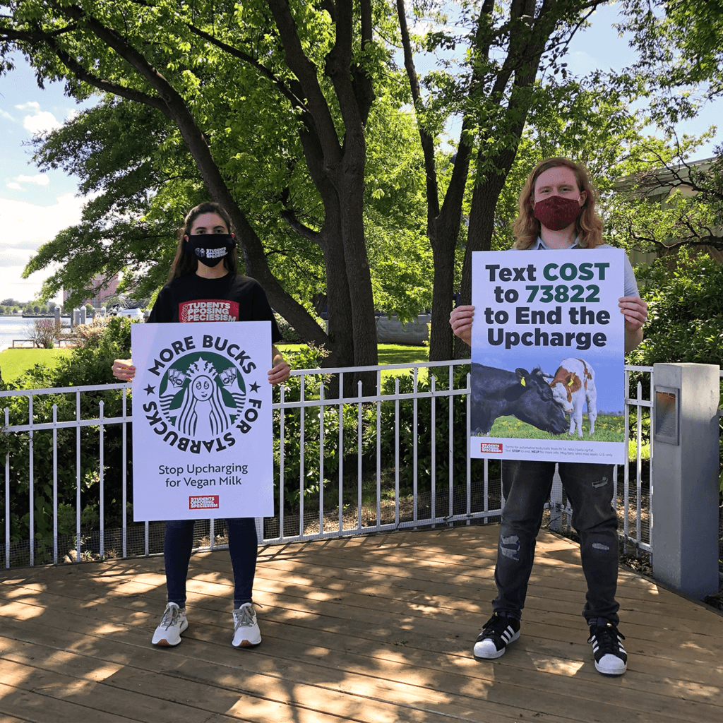 Starbucks protest posters