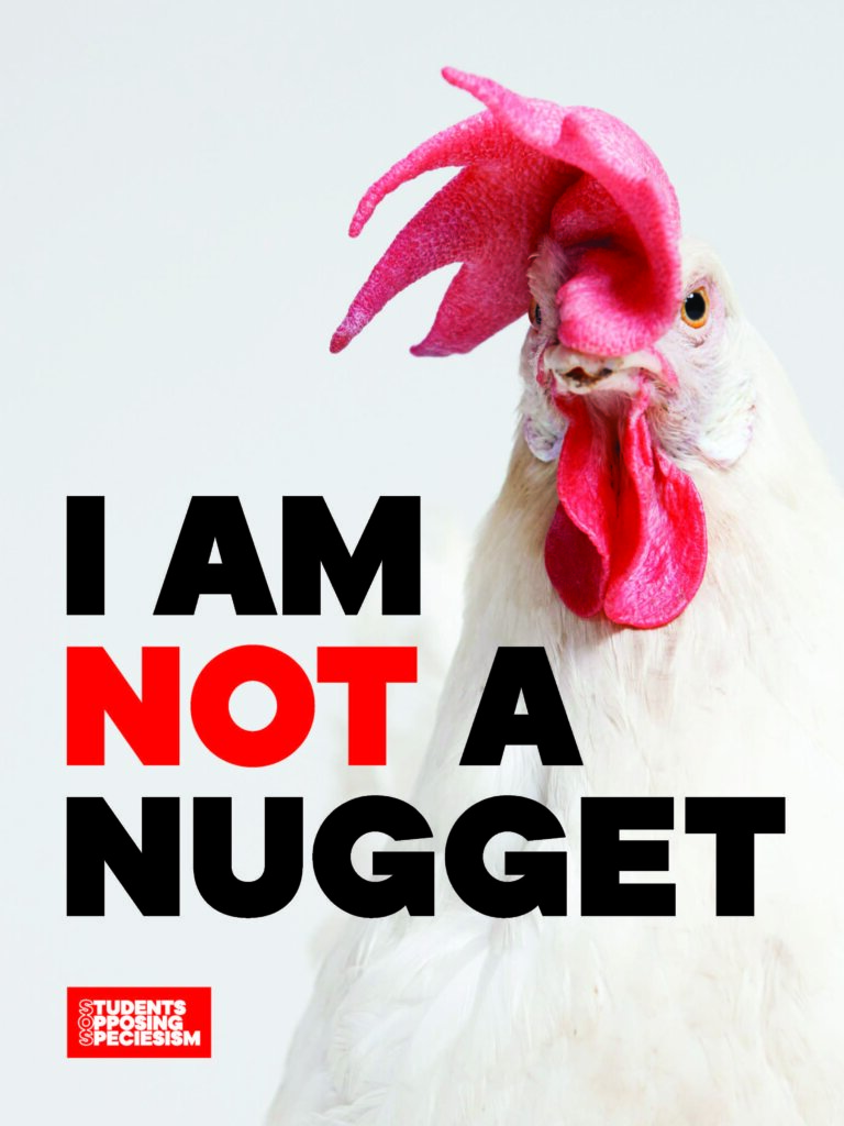 Chicken image with text that reads "I am not a nugget"