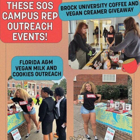 Collage photo of SOS Campus Rep tabling events including vegan milk and cookies giveaway and a vegan coffee creamer giveaway.